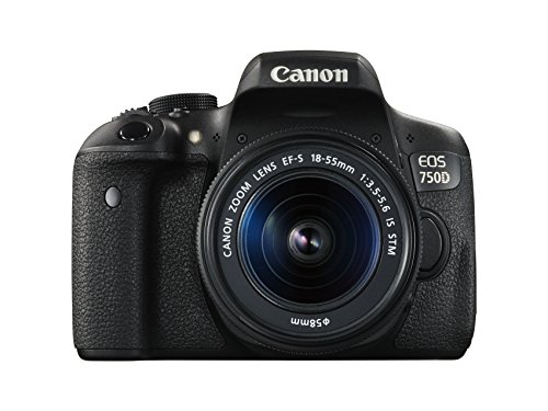 Canon EOS 750D Digital SLR Camera with 18-55mm IS STM - International Version (No Warranty)